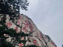 -崂山仰口游览区
