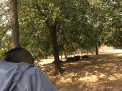 -石家庄市动物园