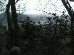 -上海佘山国家森林公园西佘山园