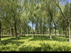 -石家庄市植物园