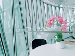 -广州塔卢特斯法国旋转餐厅