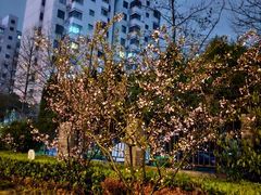 -SFC上影影城(淞南店)