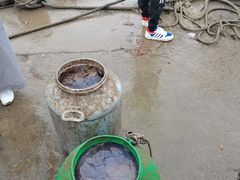 -汤山公园