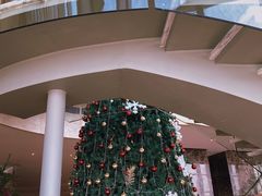 -视界美食自助餐厅·石家庄希尔顿酒店