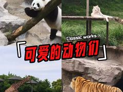 -宁波野生动物园