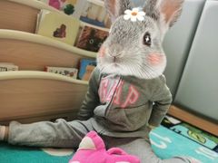 -BetterKids贝好国际托育中心(奥体旗舰店)