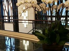 -香港珀丽酒店