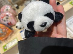 -安仁古镇