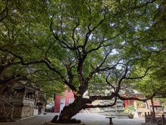 -青檀寺景区