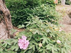 -大钟寺古钟博物馆