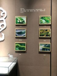 -太湖雪蚕桑文化园