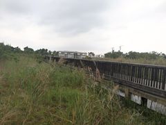 -芒洲湿地公园