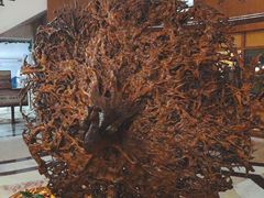 -金孔雀温泉旅游度假村