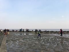 -南汇嘴观海公园