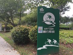 -尚贤河湿地