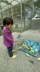 -萌宠亲子动物乐园(槐房万达店)