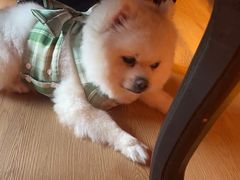 -伽利略剧本探案馆(国贸店)