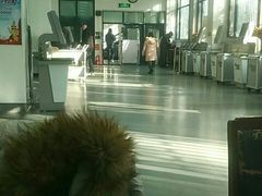 -天津图书馆(复康路馆)