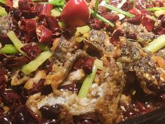 -老板恋上鱼(环山路店)
