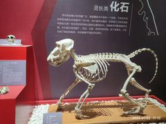 -国家自然博物馆