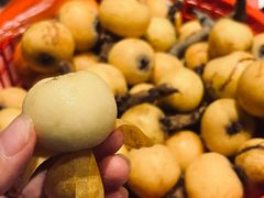 -苏州吴中太湖旅游区