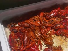 -好伦哥比萨烤肉自助(马家堡店)