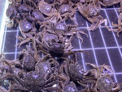 -聚盛源蒸汽海鲜火锅烤肉自助(巨川金海岸购物广场店)