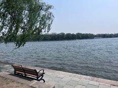 -北陵公园