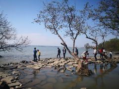 -宝安西湾红树林湿地公园