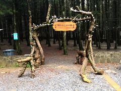 -重庆睡佛山森林公园