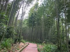 -蜀南竹海景区
