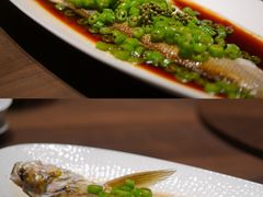 麻椒千岛湖白水鱼-新光酒家·河豚·海鲜·蟹料理(浦东店)