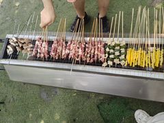 -尚庄度假村·庭台树下·户外烧烤·团建CS·轰趴营地(上庄水库店)