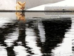 -星巴克(深圳前海企业公馆店)