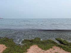 -燕儿岛山公园