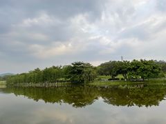-东莞植物园