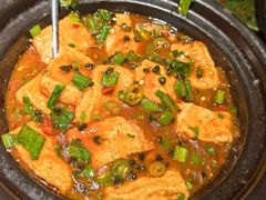 -花菇朵·云山雀 ll 野生菌锅·野果酸汤·精品滇菜(万柳店)