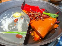-阳阳老火锅(小南门店)