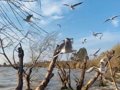 -捞渔河湿地公园