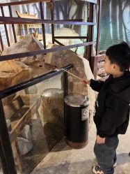 -酷嗒动物文化乐园(cutezoo西溪乐天城店)