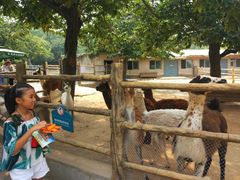 -西安秦岭野生动物园