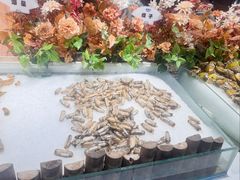 -圣罗巴海鲜烤肉自助(赤峰店)