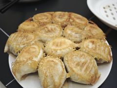-东北饺子馆(马尾君竹店)