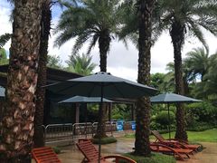 -碧桂园润杨溪谷温泉酒店