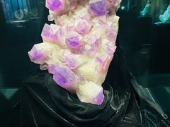 -中华赏石园