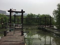 -长兴太湖图影湿地文化园