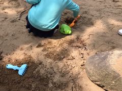 -苏州河梦清园环保主题公园