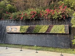 -云溪植物园