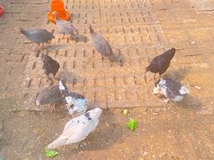 -不觉晓CAMPING(上海迪士尼营地店)