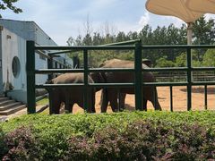-秦皇岛野生动物园